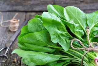 fresh food industry training